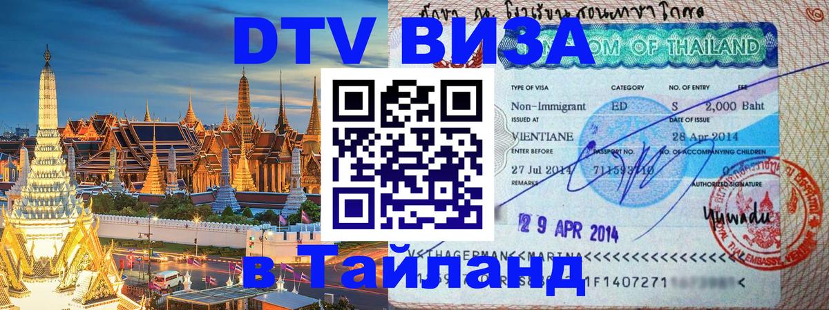 Оформление DTV визы под ключ: стоимость и тарифы, только загранпаспорт - 20.11.2025 